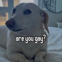 𝗜 𝗞𝗡𝗢𝗪. (@homophob1cd0g) 's Twitter Profile