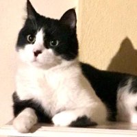 HamurveDostları (@hamurvedostlari) 's Twitter Profile Photo HamurveDostları (@hamurvedostlari) 's Twitter Profile Photo