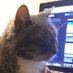not Johnny (@not_j0hnny) Twitter profile photo not Johnny (@not_j0hnny) Twitter profile photo