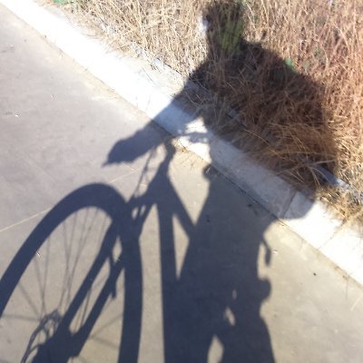 hitomiconi's profile picture. Descendiente chino (pero sin los ojos rasgados) bartoleando en Chile . \U | C/