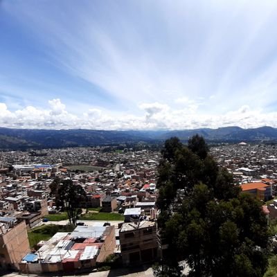Bach. Agrónomo. Estudiante de maestría en Mejoramiento genético de plantas. 🧬🇵🇪