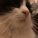 Isabelle George - @Isabell31504493 - Twitter