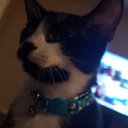 Freddy Jimenez Guerrero - @bigDax2001 - Twitter