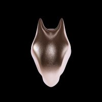Desiigner (@desiignerio) 's Twitter Profile Photo Desiigner (@desiignerio) 's Twitter Profile Photo