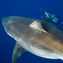 Thomas Speight - @TSpeighty - Twitter