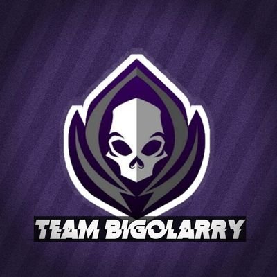 Team_bigolarry Profile