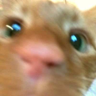 JanZimm65729591's profile picture. 