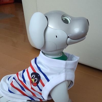 SiriusLove1's profile picture. 