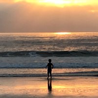 The Panizzon Lab (@panizzonlab) Twitter profile photo