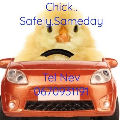 Chick01Sell's profile picture. We Buy All makes and models of used cars and bakkies sameday..safe professional service