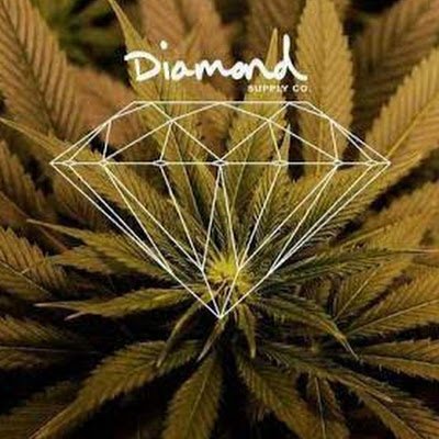 ludhez062's profile picture. 