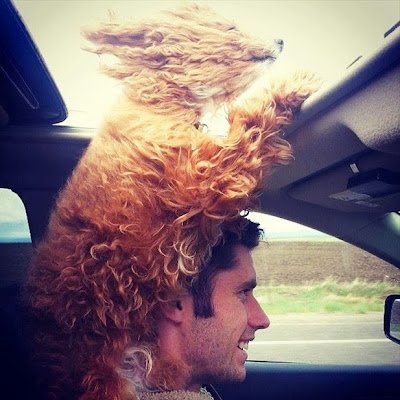 MushaTed's profile picture. 