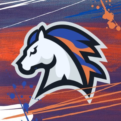 EsportsStagg Profile Picture