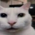 Sebastian (@sebas_lol126) Twitter profile photo Sebastian (@sebas_lol126) Twitter profile photo