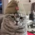 IL_DOTTOR_STRANAMORE ๐ฎ๐น ๐ท๐บ (@thelorenz74) Twitter profile photo IL_DOTTOR_STRANAMORE ๐ฎ๐น ๐ท๐บ (@thelorenz74) Twitter profile photo