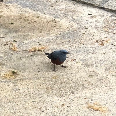 Alice01009's profile picture. のんびり暮らしたい 基本愚痴ばっかり