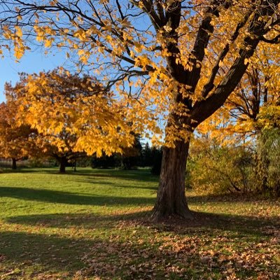 rexyangsh's profile picture. 