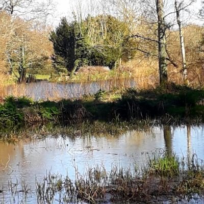 SolTavsanoglu's profile picture. Researcher