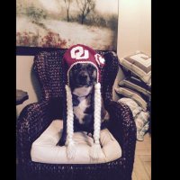 Minnie's mom (@unclemokie) 's Twitter Profile