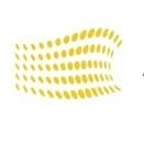 aug_mentor's profile picture. AugMentor makes angel investments in socially impactful startups and provides a deeper engagement by providing access to our networks and mentoring.