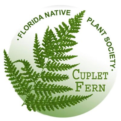 Cuplet Fern | Florida Native Plant Society serving the Central Florida region in the mission of conservation, preservation, and restoration of native plants.