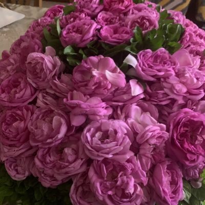 m_14314's profile picture. اذاماعجبتك لا تضيفني،لاتجبرني أن أطبق سلوكك قل الحق ولا تخاف،فإن منتسوري لم يطبق منهجها إلا لإصرارها عليه ،ولثقتهابفاعليته،دون خوف من الفشل أو غضب الناس عليها،