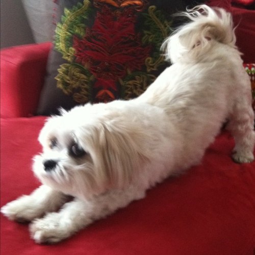 jgutows's profile picture. 