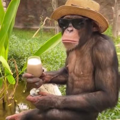 devcoza's profile picture. Goodthinkful