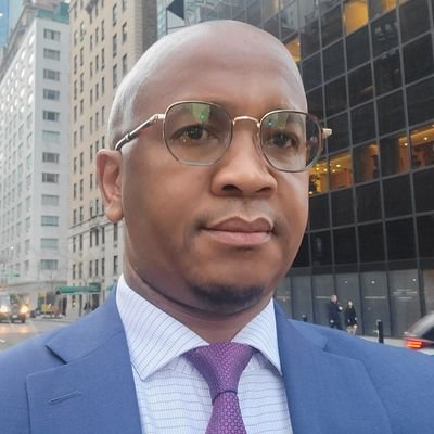 DDG Global Governance, G20 Sous Sherpa, BRICS Sherpa, NEPAD Sherpa. Former Ambassador Vienna. DPR of SA to the UN in NY. Former IAEA, NECSA.