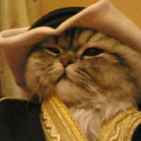 Azzam (@1barraza1) 's Twitter Profile Photo Azzam (@1barraza1) 's Twitter Profile Photo