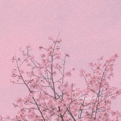 gal_heartheart's profile picture. 🌸