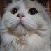 チュチュ丸 (@chachuje) Twitter profile photo チュチュ丸 (@chachuje) Twitter profile photo