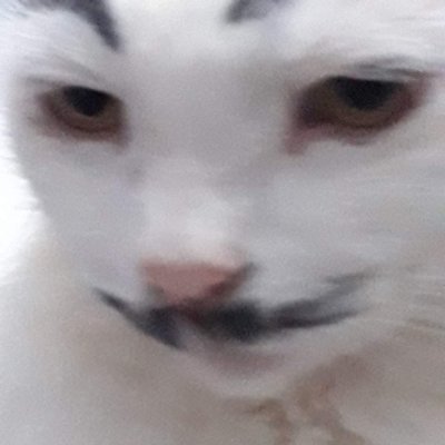 KathleenManala9's profile picture. ????