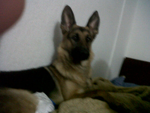 MABILIOVELEZ's profile picture. 