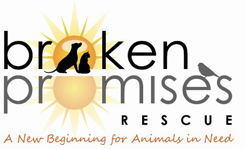 BPRAnimalRescue's profile picture. Helping local homeless animals find forever homes.  focusing on improving the lives of abandoned, neglected and orphaned animals on Vancouver Island.