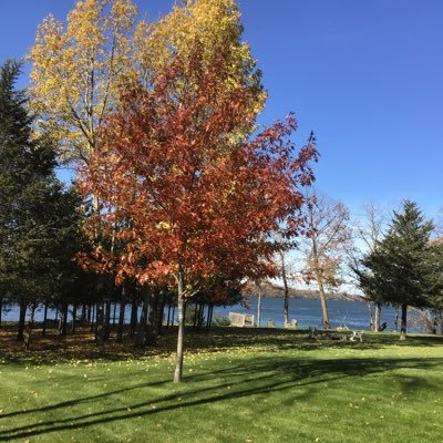 tama48523913's profile picture. 