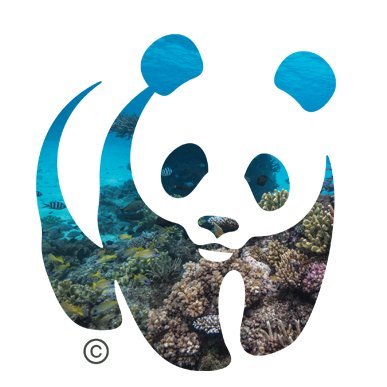 @WWF 🐼 Working to protect and restore #ocean health for the benefit of people, nature and climate. #OceanAction #SaveOurOcean #SDG14
