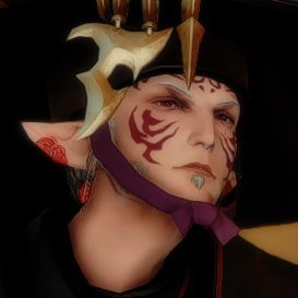 Crimson Dragoon // Male Elezen are an endangered species // I am the third worst thing to ever happen to the Ascians // 24 and nearly a boomer