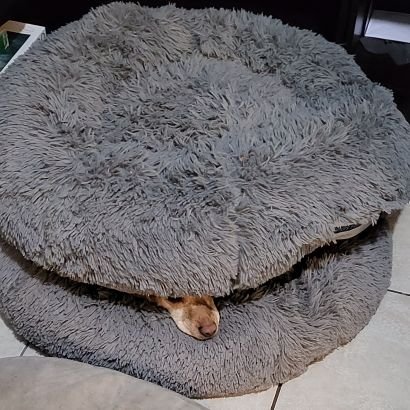 RAFAELSEGURACA4's profile picture. Paciencia