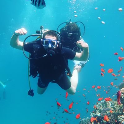 EldinMahfouz's profile picture. 