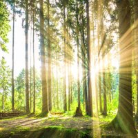 Moscovic (@moscovic) 's Twitter Profile