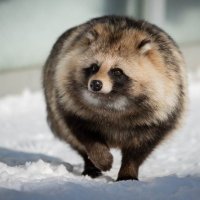 世界 (@sekaikuromaku) 's Twitter Profile Photo