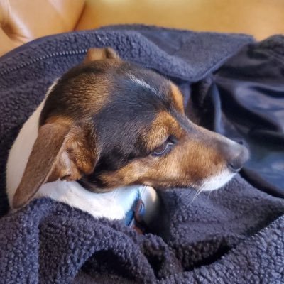david_derricott's profile picture. 