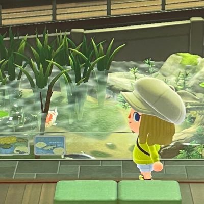 Luri〈るり〉さんのプロフィール画像