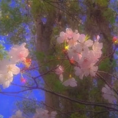 LeupoldLia's profile picture. Under age