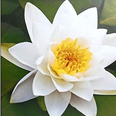 DPankajtripathi's profile picture. Ophthalmologist