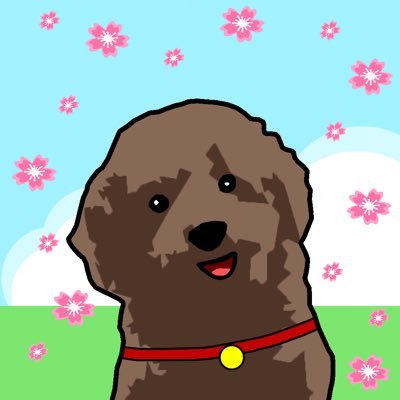 poodle_bomさんのプロフィール画像