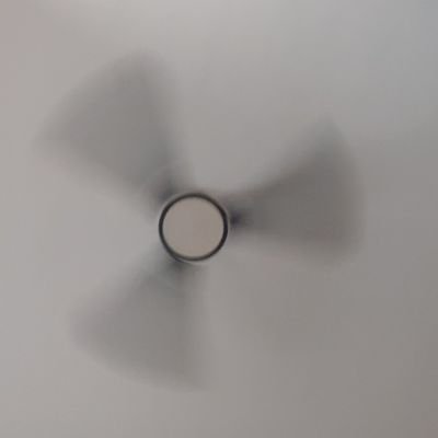 jamboodveepe's profile picture. die being popular or live stating the truth.