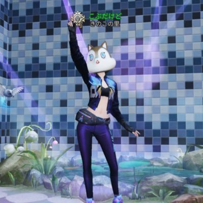 こぶだけどさんのプロフィール画像