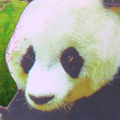 OPPORenoPro5G's profile picture. putih